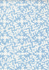Reef Blue on White