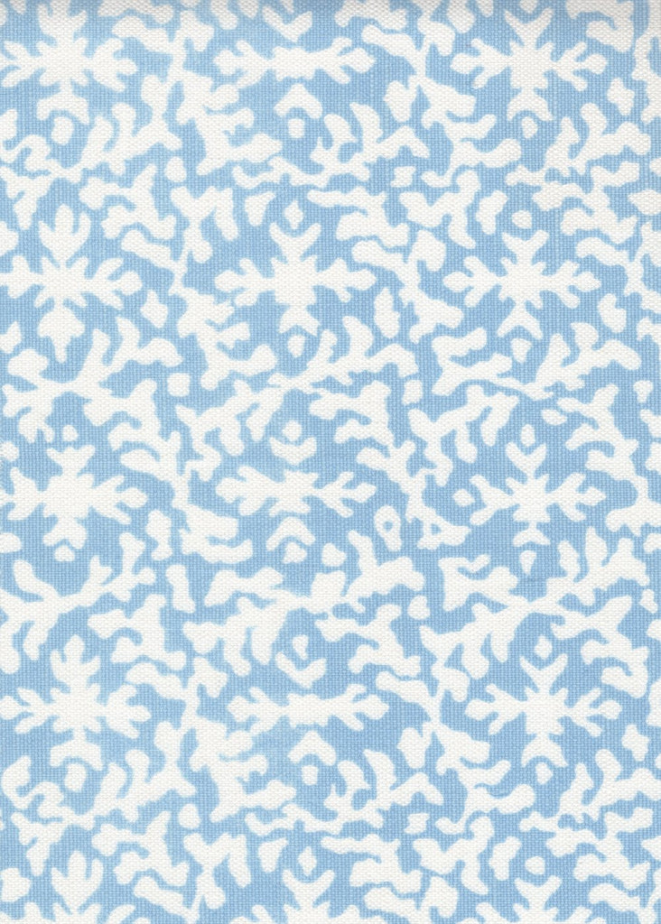 Reef Blue on White