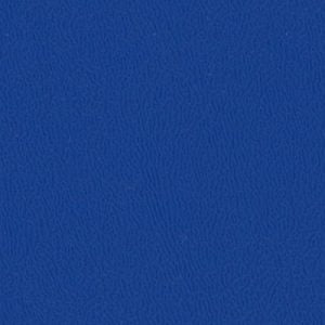 Big Stone Gap Regal Blue