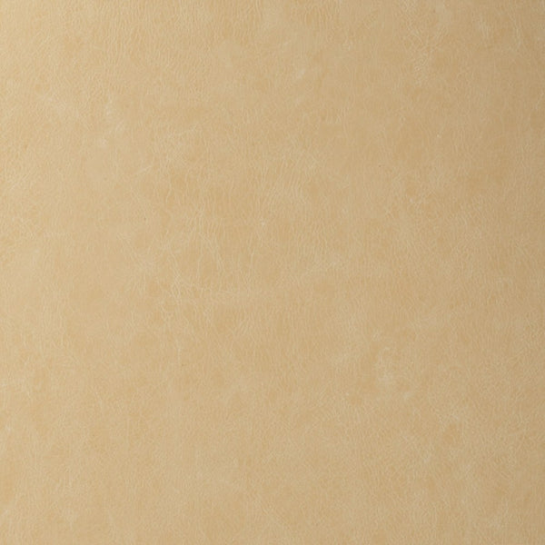 Hainsville Faux Leather Durable | Hollywood Wallcoverings