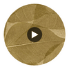 Rika Real Leaf | Phillipe Romano Circular Swatch | DW