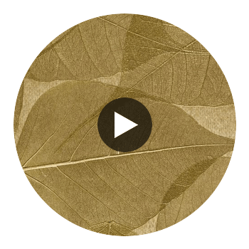 Rika Real Leaf | Phillipe Romano Circular Swatch | DW