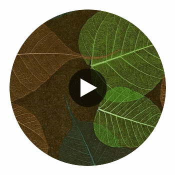 Rika Real Leaf | Phillipe Romano Circular Swatch | DW