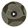 Rika Real Leaf | Phillipe Romano Circular Swatch | DW