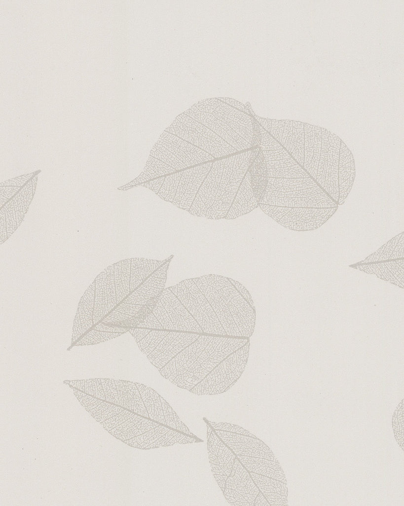 Rome Bodhi Whisper Wallcovering | Phillipe Romano