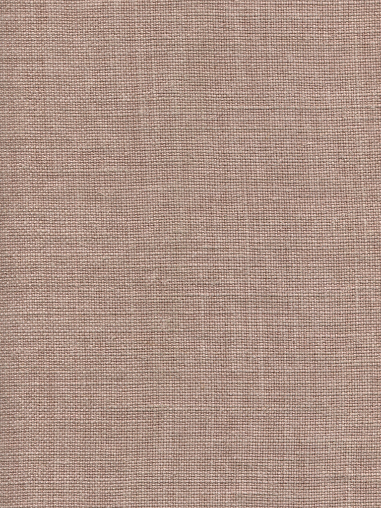 Ghent, Rose Petal