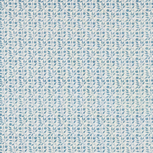 Rosehip Mineral Blue | Morris & Co.