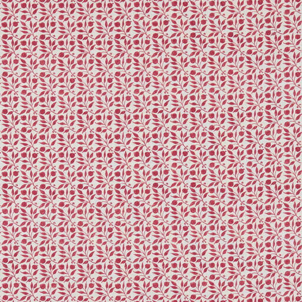Rosehip Rose | Morris & Co.