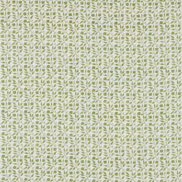 Rosehip Thyme | Morris & Co.