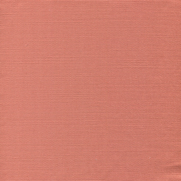 Bahama Cloth II, Salmon | Plains