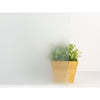 Sand Static Window Film | Jeffrey Stevens - Image 1