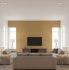 Sansai Sisal Grasscloth Honey | Phillipe Romano - living room room setting