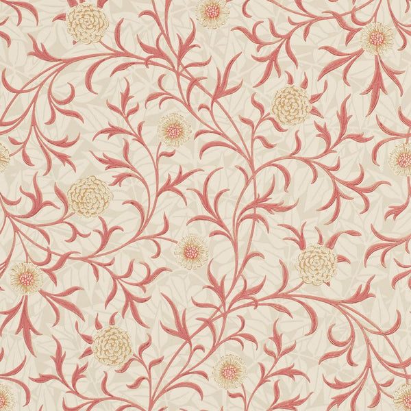 Scroll Buff Lightbrick Wallcovering | William Morris