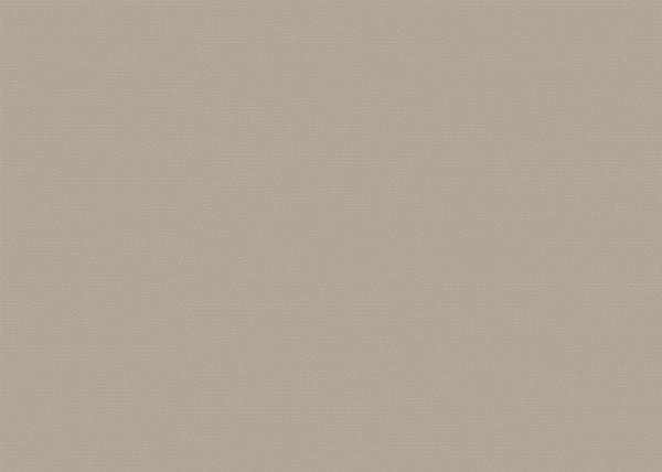 Sereno Color II Fabric - Color 804 | Carnegie
