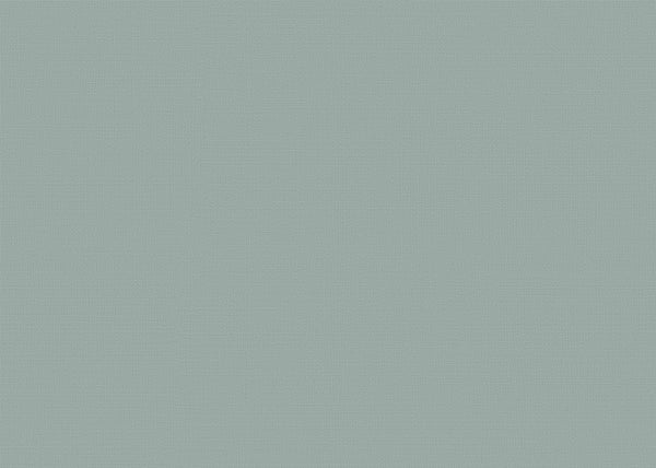 Sereno Color II Fabric - Color 806 | Carnegie