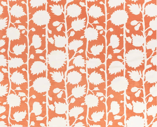 Shrimp on White Wallcoverings | Alan Campbell