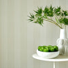 Silk Stripe Natural - Image 2