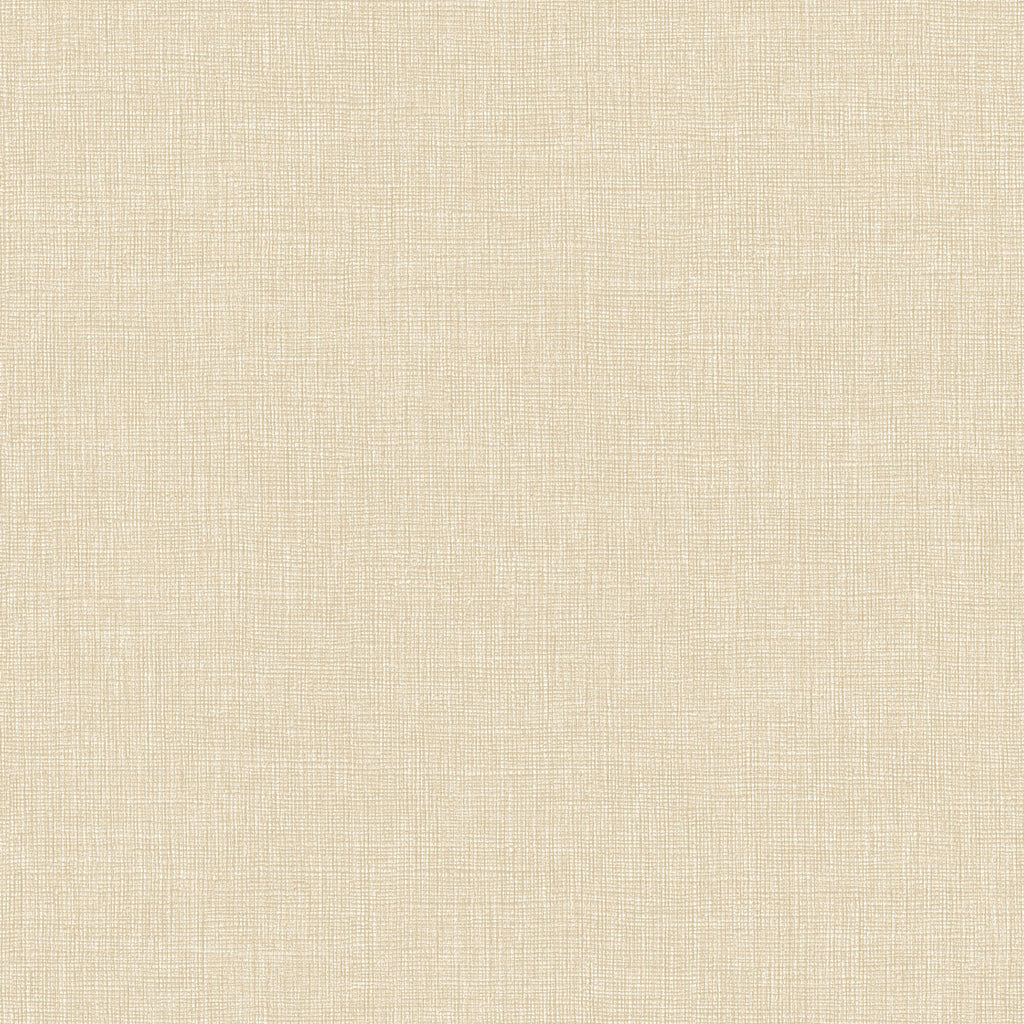 DWHD-506361 Indian Beach - Cornsilk | Designer Wallcoverings