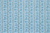 Toile Rayure de Vizille, Sky