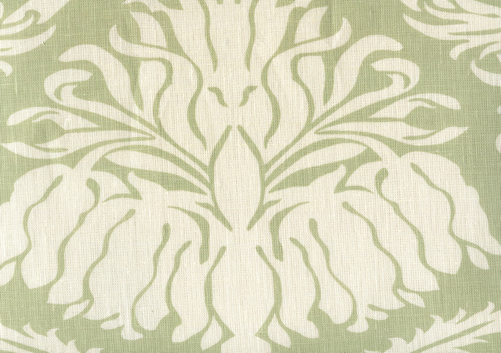 Corinthe One Color Reverse, Soft French Green on Tint