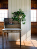 Boxwood Stripe Wallpaper Sage Brush Green