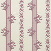 Brio Wallpaper Fig