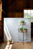 Chou Chou Wallpaper Sage Brush Green