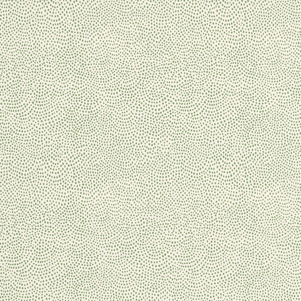Dot All Over Wallcovering Green | Sister Parish