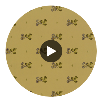 Spotted Orchid Light Brown Light Brown — Thibaut Circular Swatch | Thibaut