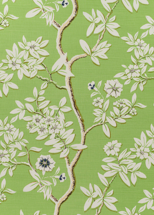Spring Blossom, Spring Green/Tan on Light Tint Wallcoverings | Quadrille
