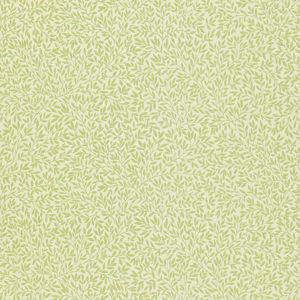 Standen Fennel | Morris & Co.