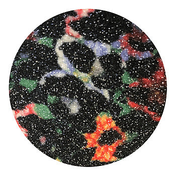 Foral Leopard Glitter - Black On Multi | Glitter Walls