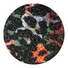 GLM-4080-SAMPLE Foral Leopard Glitter Wallcovering Black On Multi designer-wallcoverings-los-angeles