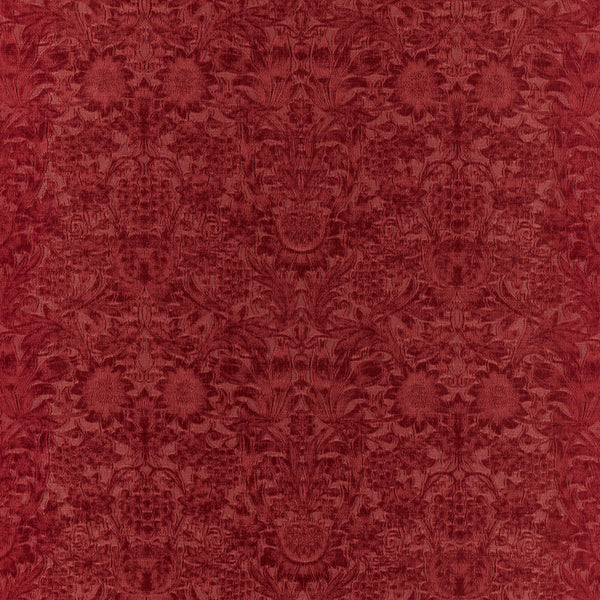 Sunflower Caffoy Velvet Barbed Berry | Morris & Co.
