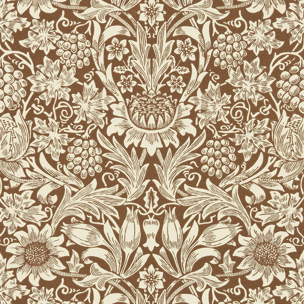 Sunflower Chocolate/Cream | Morris & Co.