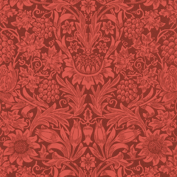 Sunflower Chocolate/Red | Morris & Co.