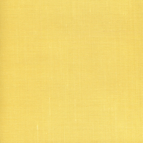 Sunflower on Oyster Wallcoverings | Plains