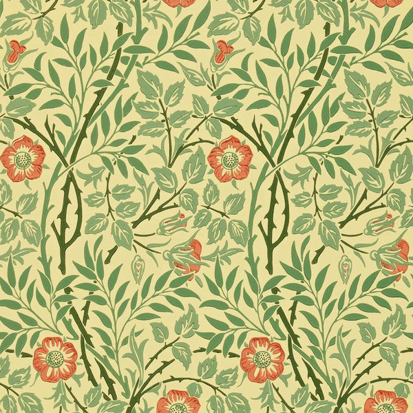 Sweet Briar Rust Green Wallcovering | William Morris