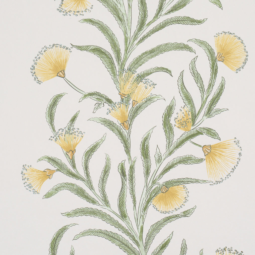 TASMANIAN MIMOSA MARIGOLD | Schumacher - Image 6