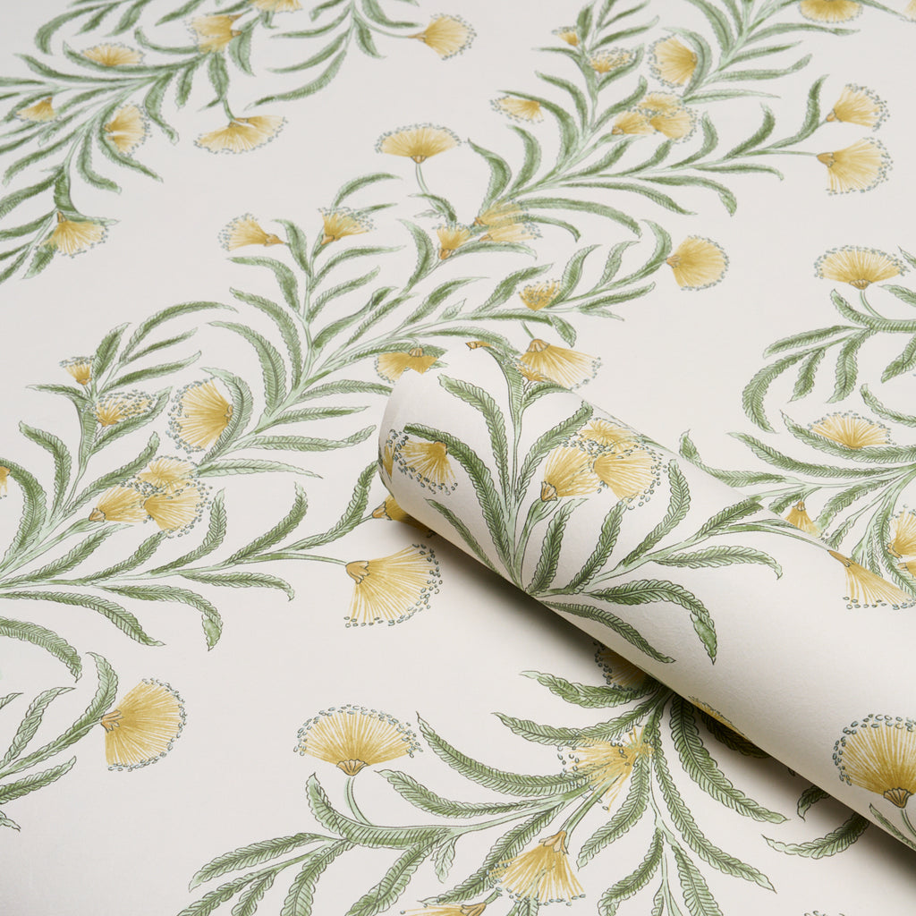 TASMANIAN MIMOSA MARIGOLD | Schumacher - Image 8