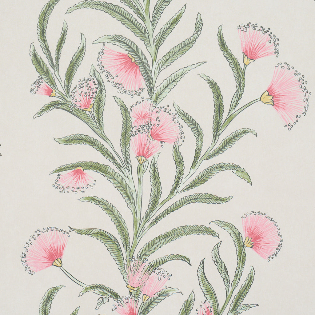 TASMANIAN MIMOSA PETAL | Schumacher - Image 6