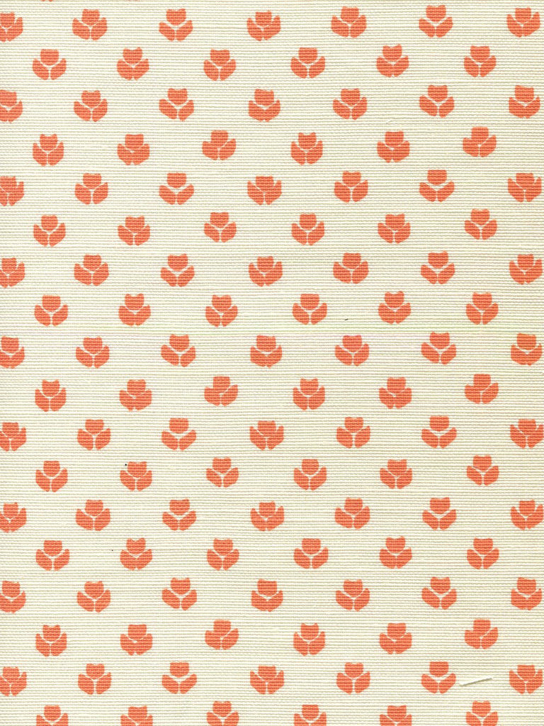 Terracotta on Tint