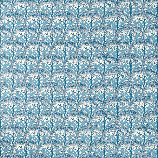 The Savaric Cirrus | Morris & Co.