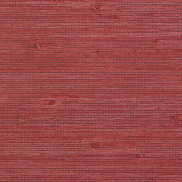 Pacific Point Warmth | Hollywood Wallcoverings