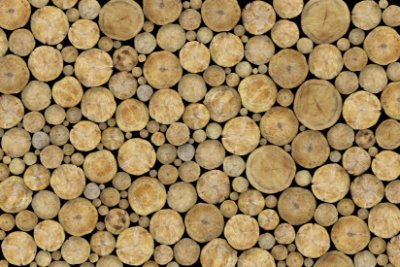 Timberstack - Black Commercial Wallcovering | Koroseal