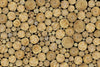 Timberstack   Wallpaper (Dk-Wd0023-01) | Koroseal Type 2 Vinyl Digital | Koroseal