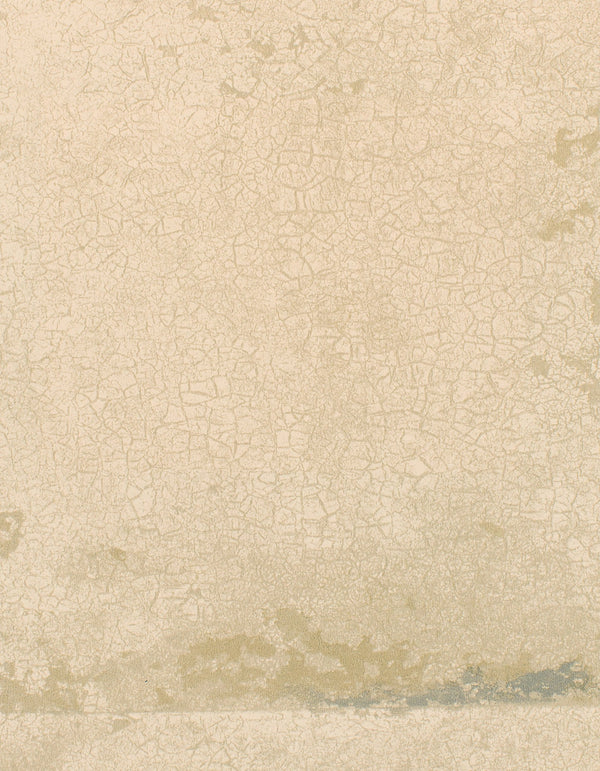 Tokyo Foundation Sphinx Wallcovering | Phillipe Romano