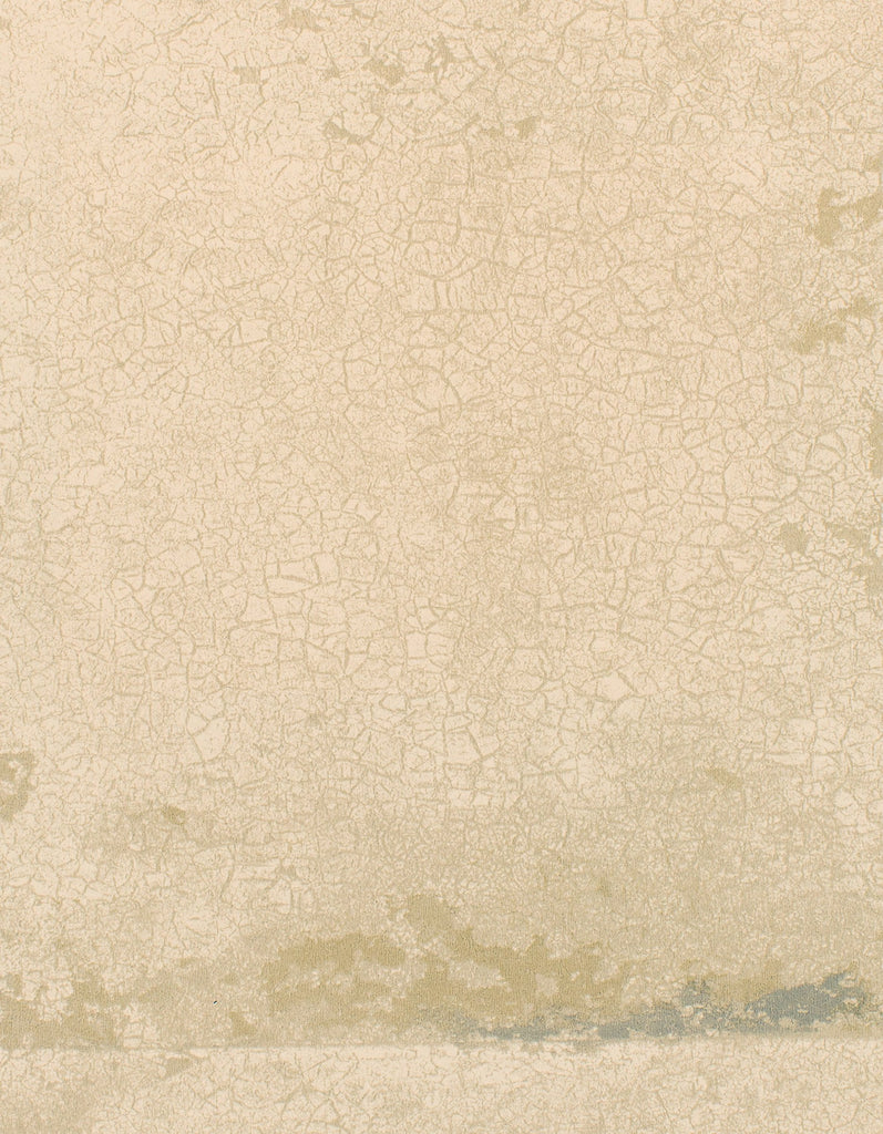 Tokyo Foundation Sphinx Wallcovering | Phillipe Romano