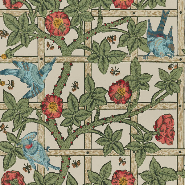 Trellis Sage/Rose | Morris & Co.