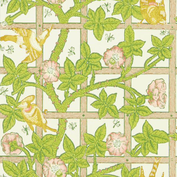Trellis Summer Yellow | Morris & Co.